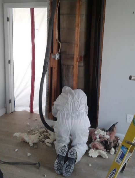 Worker in a protective suit removing insulation from an opened wall inside containment