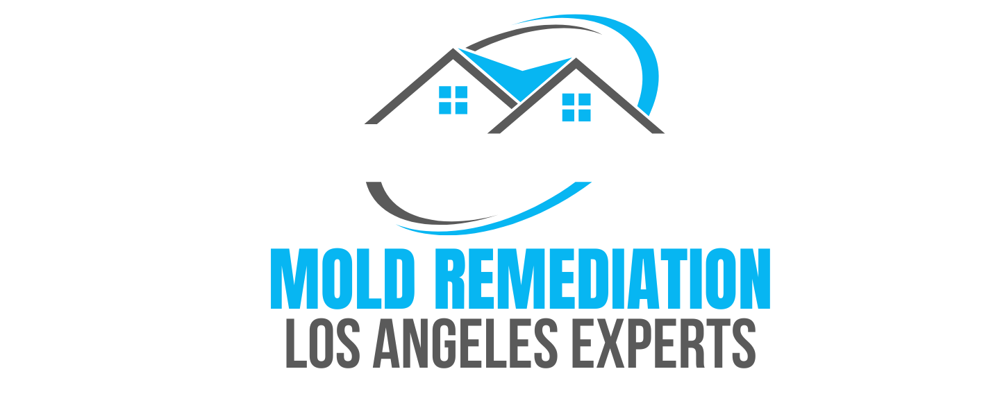 Mold Remediation Los Angeles Experts