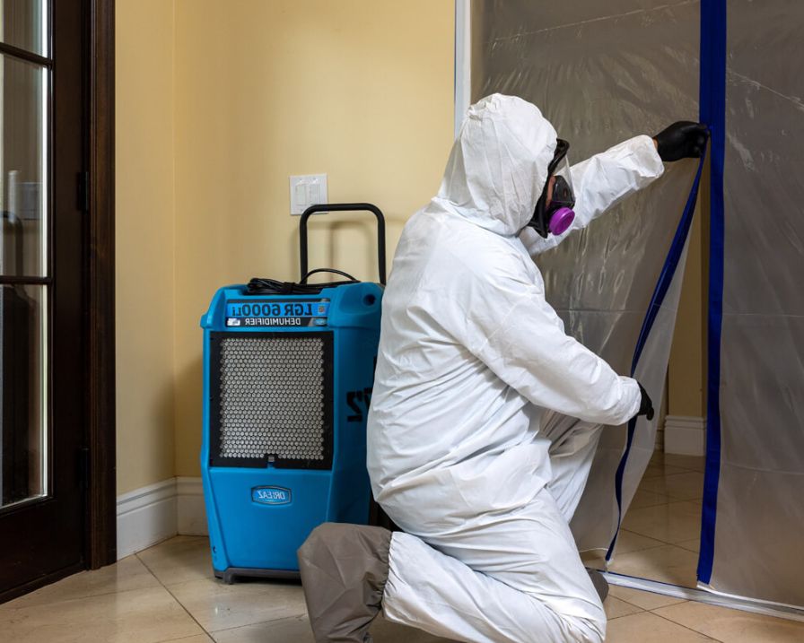 Mold Remediation Los Angeles